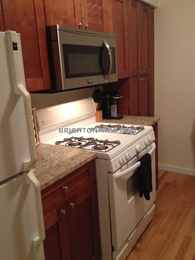 Brighton Apartment for rent 1 Bedroom 1 Bath Boston - $2,350