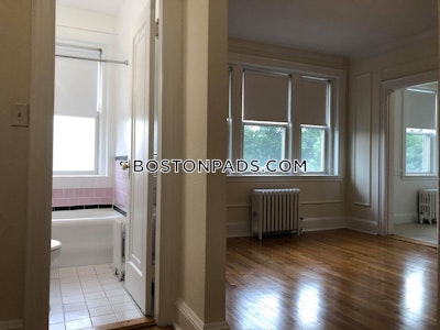 Brighton Apartment for rent 1 Bedroom 1 Bath Boston - $2,560 No Fee