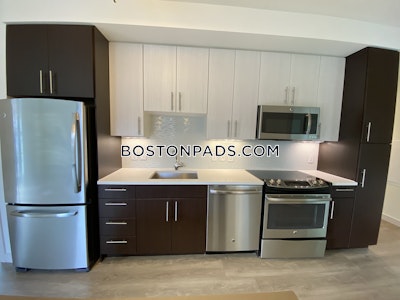 West End Apartment for rent 2 Bedrooms 2 Baths Boston - $4,997